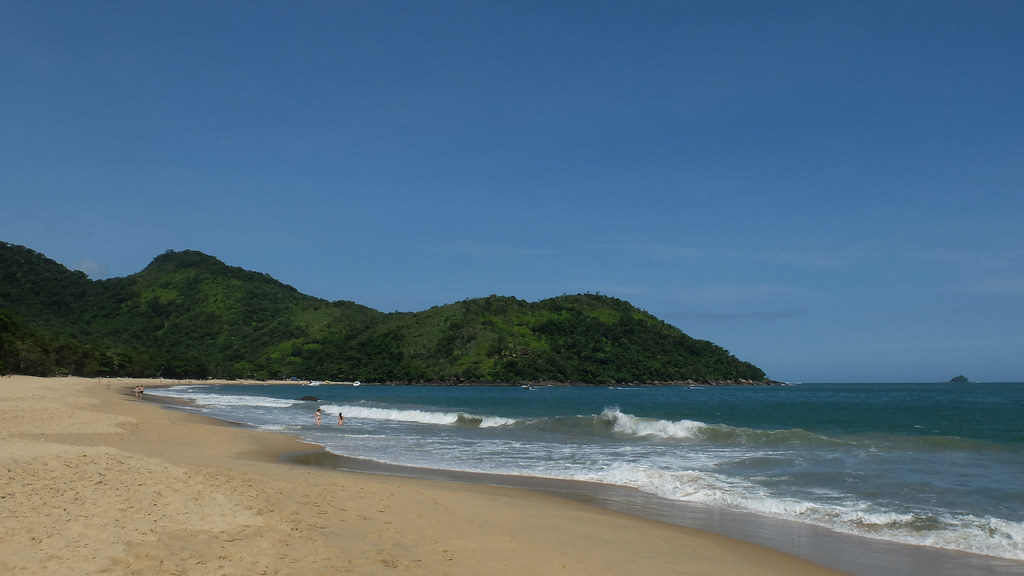 sandy beach with small waves surrounded by nature